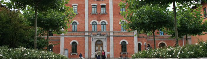 Rathaus Rosenheim