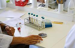 Angehende Lebensmittelverarbeitungstechnikerinnen und -techniker führen im Labor praktische Übungen zur mikrobiologischen Untersuchung von Lebensmitteln durch.