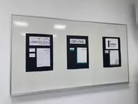 Mehrere Designentwürfe für ein Logo und Geschäftsausstattung hängen an einer Präsentationswand.