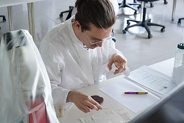 Ein junger Mann im weißen Laborkittel arbeitet an einem Labortisch, bereitet eine Probe mit einem Holzstäbchen vor und blickt konzentriert auf das Präparat.