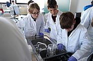 Schüler untersuchen Proben an einem Waschbecken im Labor.