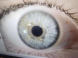 Irisstruktur im Detail Nahaufnahme einer Iris mit feinen Strukturen und Farbverläufen auf einem Bildschirm.