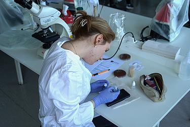 Eine junge Frau im Laborkittel und mit Handschuhen bringt mit einer Pipette Reagenzien auf Objektträger auf. Im Hintergrund stehen Laborgeräte und ein Mikroskop.
