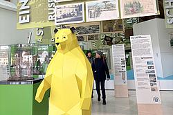 Ausstellungsbereich im Haus der Bayerischen Geschichte mit einem stilisierten gelben Bären als Blickfang sowie historischen Exponaten und Informationstafeln im Hintergrund.