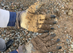 Schmutzige Arbeitshandschuhe zeigen den tatkräftigen Einsatz bei der Baumpflanzaktion der Eckert Schulen. Viele helfende Hände packten an, um den neuen Mikrowald wachsen zu lassen und ein nachhaltiges Zeichen für die Umwelt zu setzen.