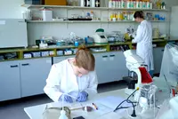 Konzentriert am Präparat: Abschlussprüfung in der Labormedizin Eine junge Frau im weißen Kittel arbeitet konzentriert an einem Tisch im Labor und stellt mikroskopische Präparate her, im Hintergrund eine weitere Person bei Labortätigkeiten.