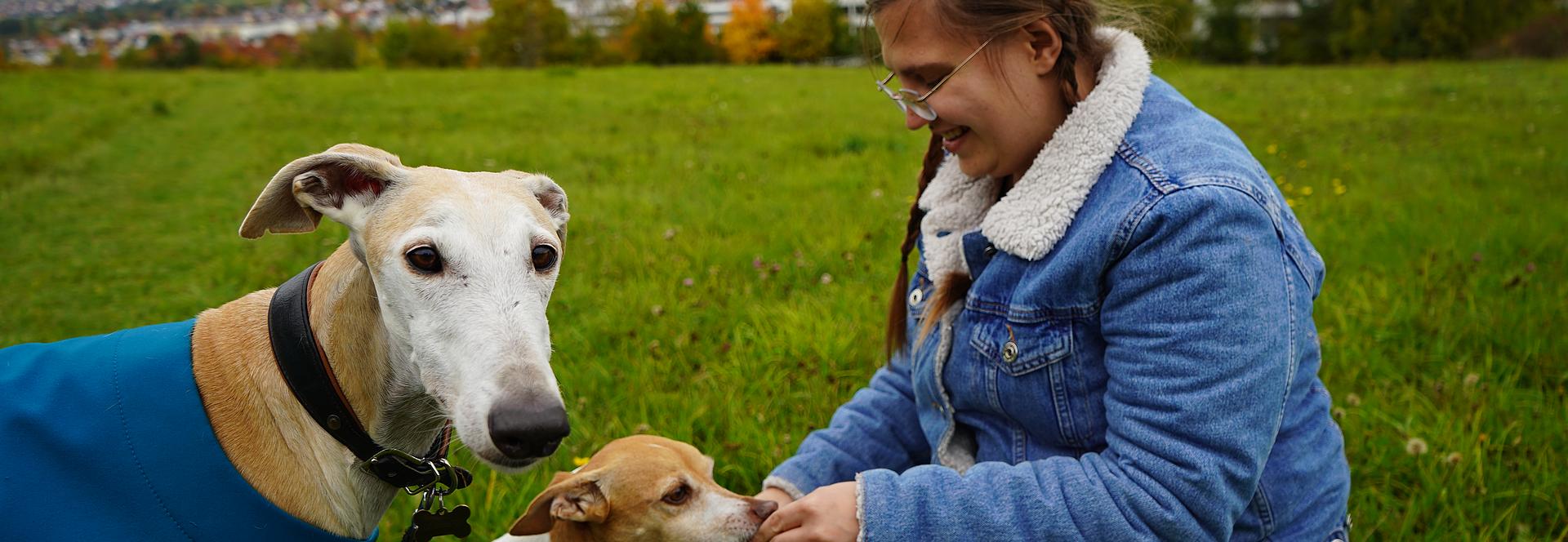 Mit der Zeit ist am BFW eine richtige Tiercommunity entstanden. Tierhalterinnen und Tierhalter gehen gemeinsam Gassi, verabreden sich zu festen Runden durch die umliegenden Wälder und springen selbstverständlich füreinander ein, wenn jemand krank ist oder gerade nicht am Campus sein kann. So entstehen ganz nebenbei Kontakte - unabhängig von Semester, Ausbildung oder Fachrichtung.