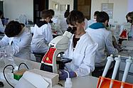 Gruppe von Schülern arbeitet parallel an Mikroskopen im Labor.
