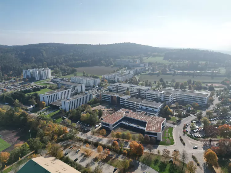 Luftaufnahme des Eckert Schulen Campus in Regenstauf mit mehreren großen Gebäuden, umgeben von Bäumen in Herbstfarben, Parkplätzen und sanften Hügeln im Hintergrund.
