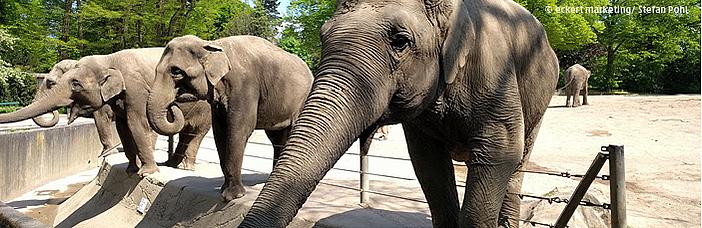 Tierpark Hagenbeck