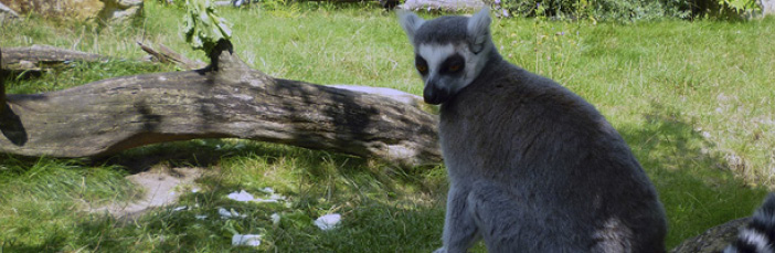 Zoo Dresden